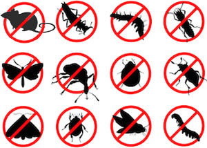 pest control
