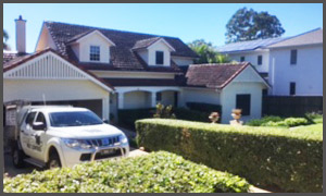 residential pest control